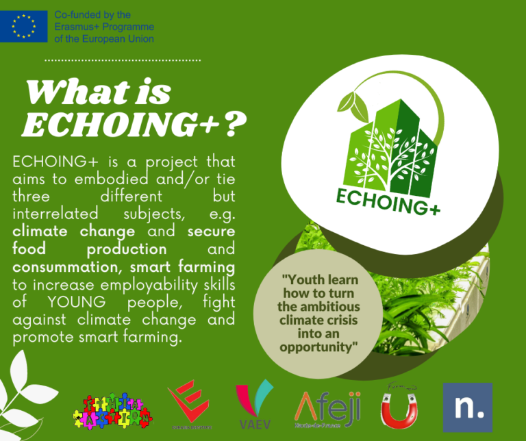 What is ECHOING+_
